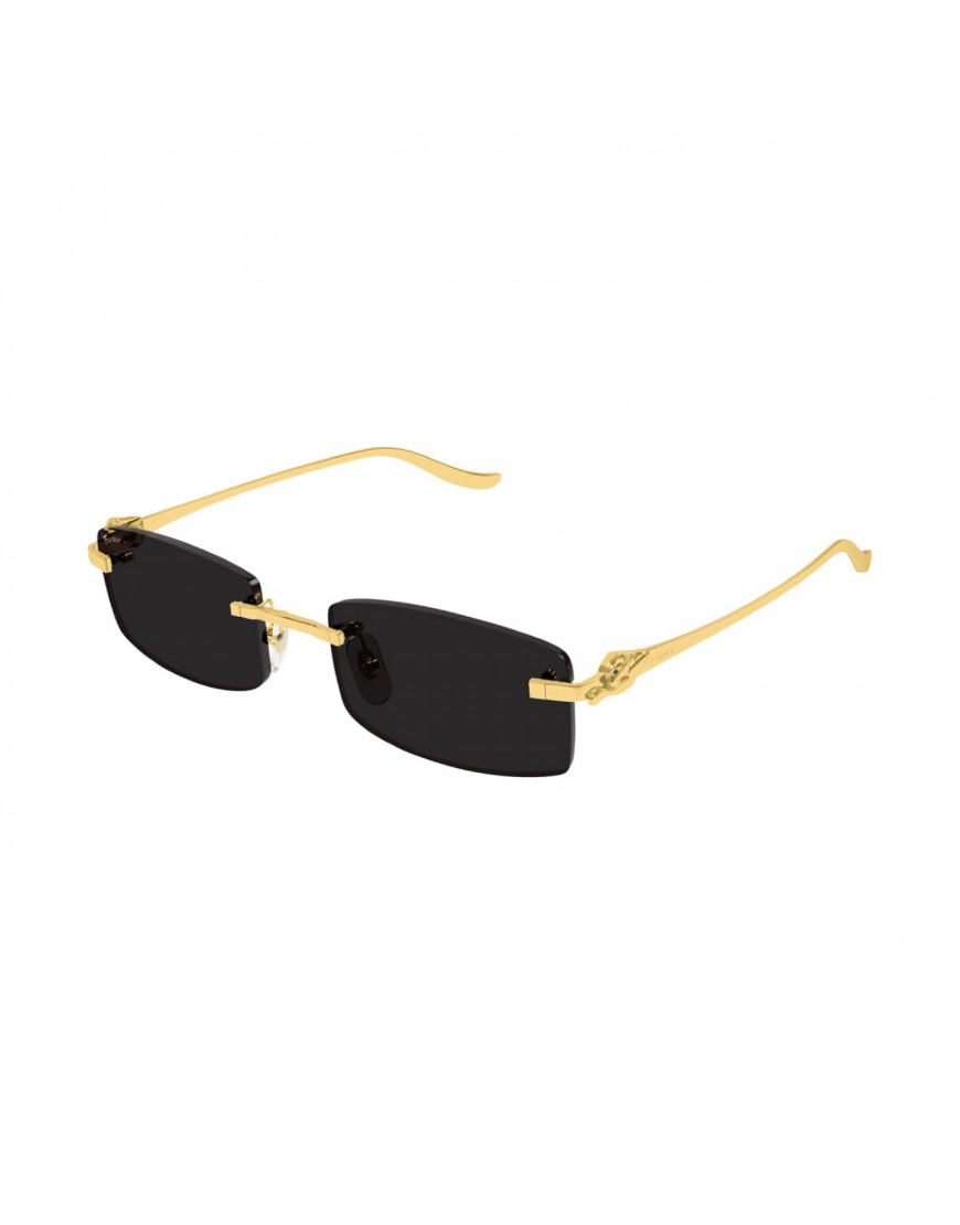 Cartier - CT0552S Black (ORİGİNAL)