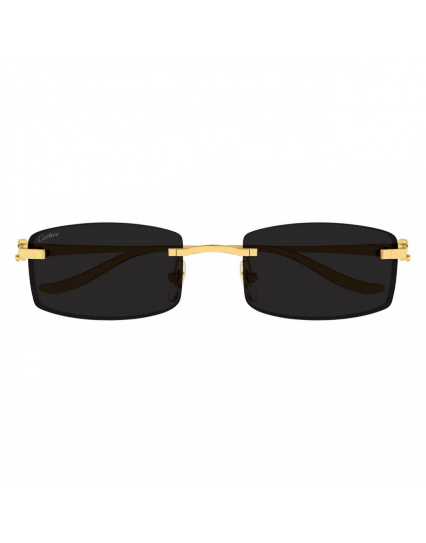 Cartier - CT0552S Black (ORİGİNAL)