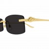 Cartier - CT0552S Black