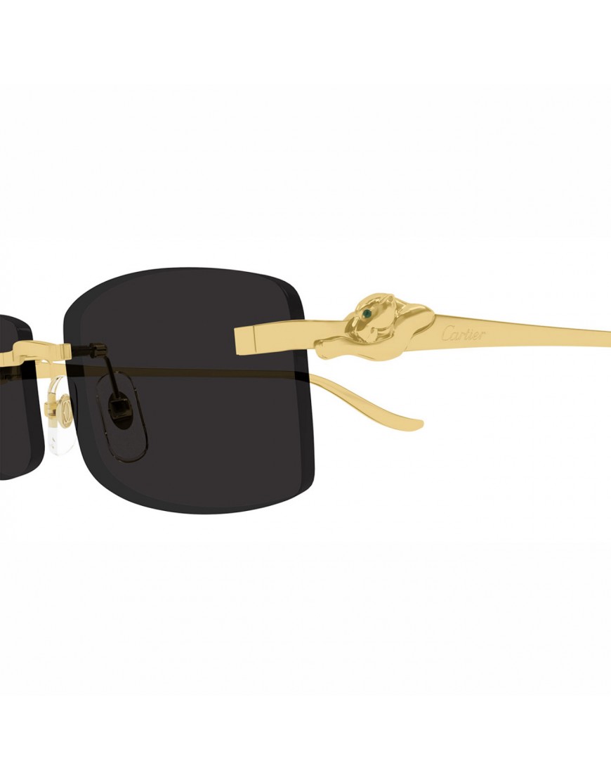 Cartier - CT0552S Black
