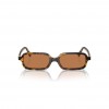 Miu Miu Gözlük 11ZS-F Brown