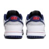 Nike Dunk Low Retro EMB 75th Anniversary Nets