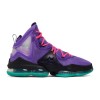 Nike LeBron 19 DJ Bron